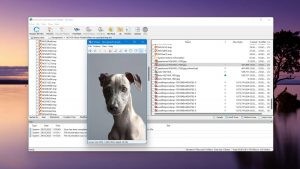 r-studio preview found files